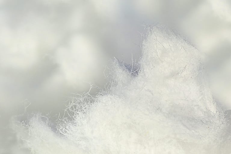 Cellulose fiber, macro image