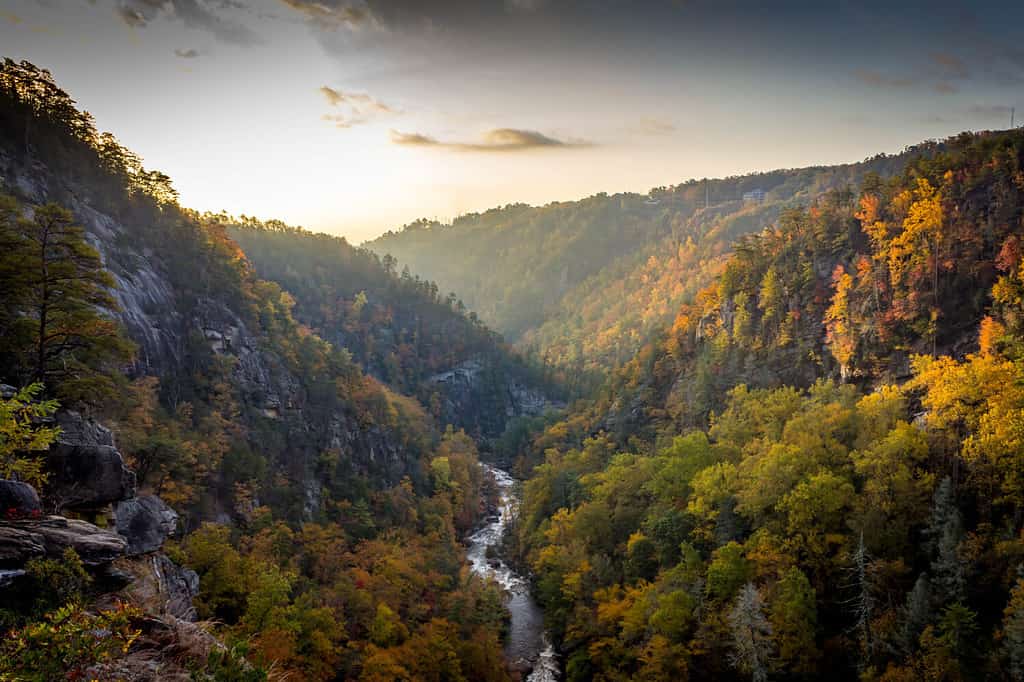 Tallulah Gorge in the Fall