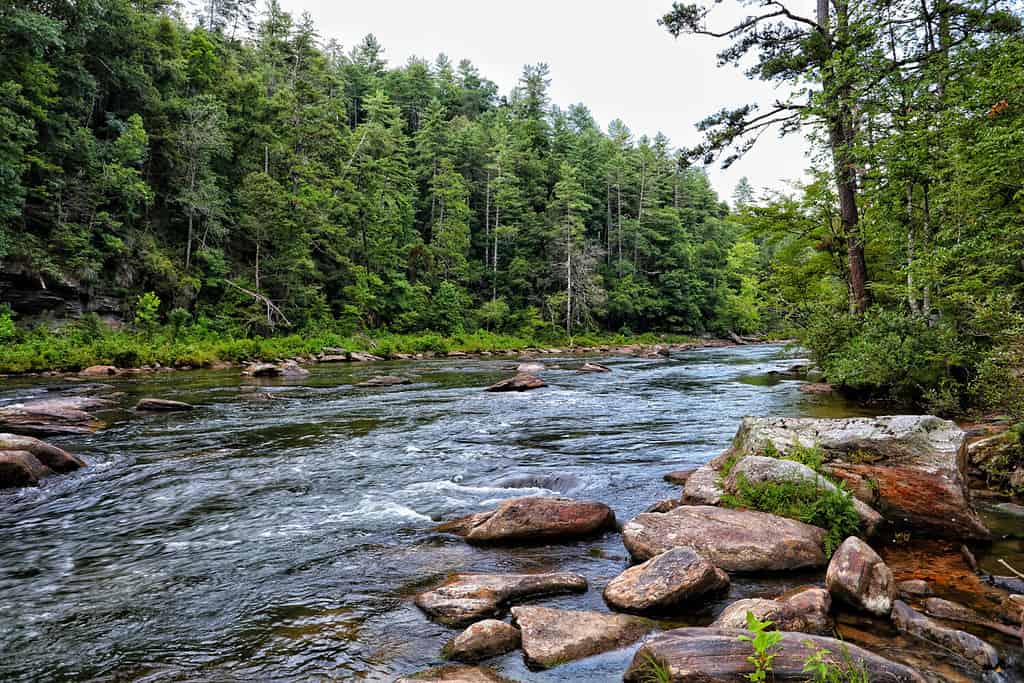 Chattooga River descends rapidly from the Blue Ridge geologic province and forms the majority of Georgia's northeast boundary between Rabun county andd South Carolina's Oconee County. 