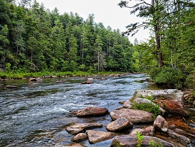 A Discover the Top 5 Rivers in Georgia for Fly Fishing