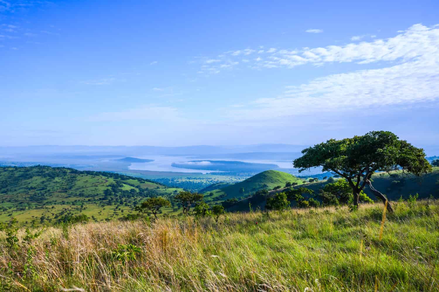 Akagera National Park Rwanda Africa