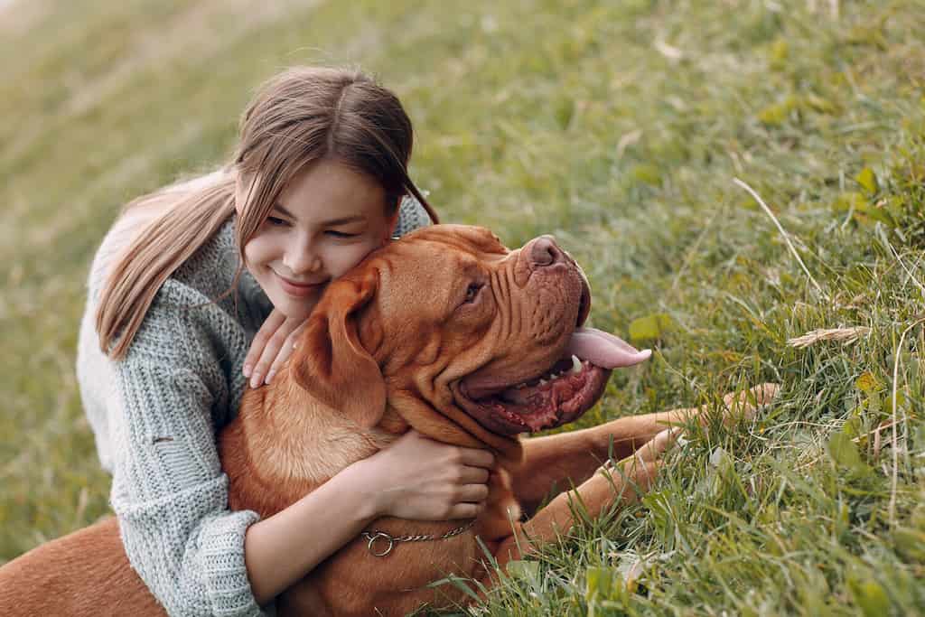 Dogue de Bordeaux or French Mastiff with young woman at outdoor park meadow.