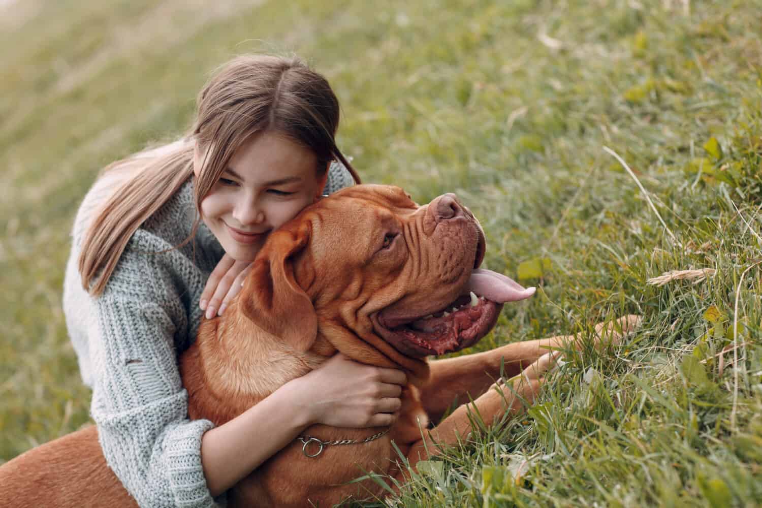 Dogue de Bordeaux or French Mastiff with young woman at outdoor park meadow.