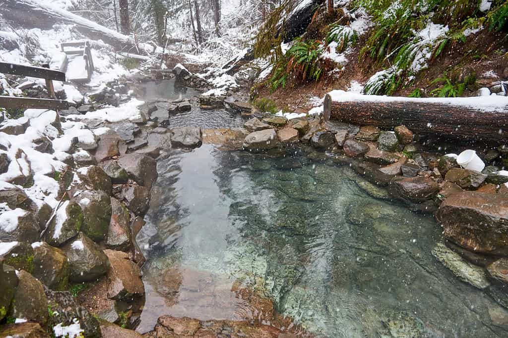 Terwilliger (Cougar) Hot Springs in Oregon under snow in winter