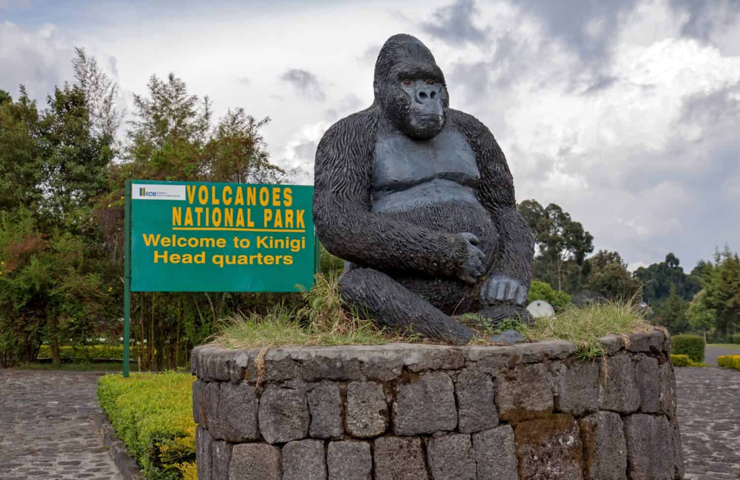 Statue of a mountain gorilla at the entrance of volcanoes national park in Kinigi, Rwanda