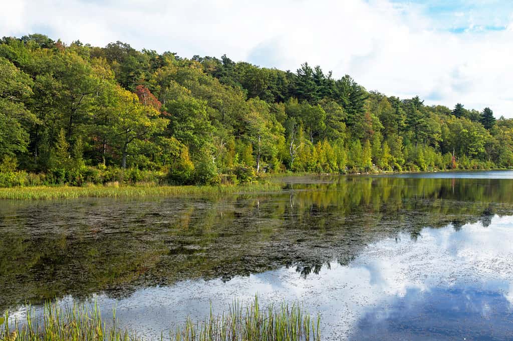 Autumn on Lake Marcia at High Point State Park in New Jersey