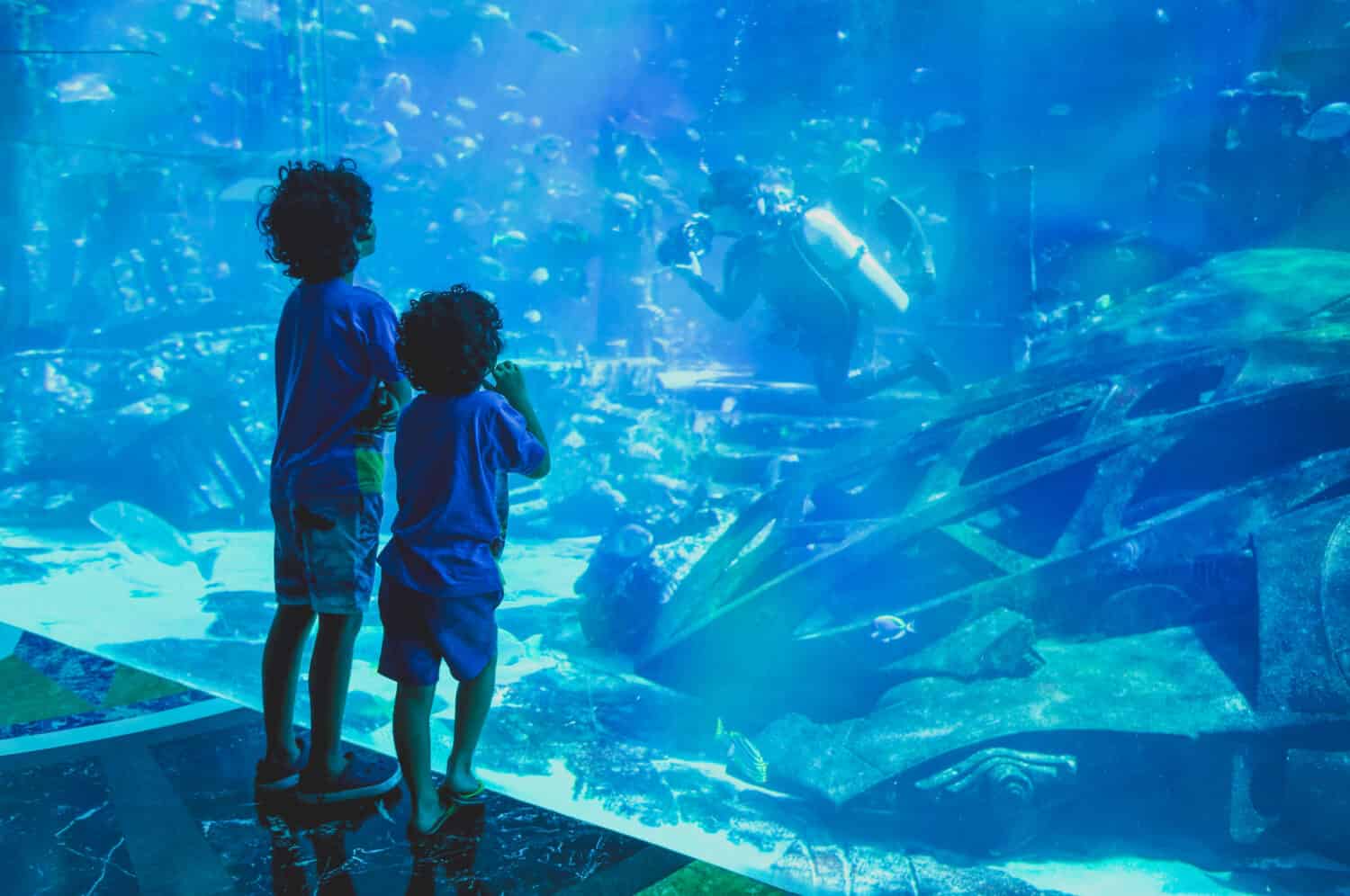 Silhouettes kids in big aquarium. Dubai.
