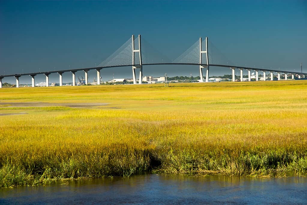 Sidney,Lanier,Bridge.,The,Sidney,Lanier,Bridge,Is,A,Cable-stayed