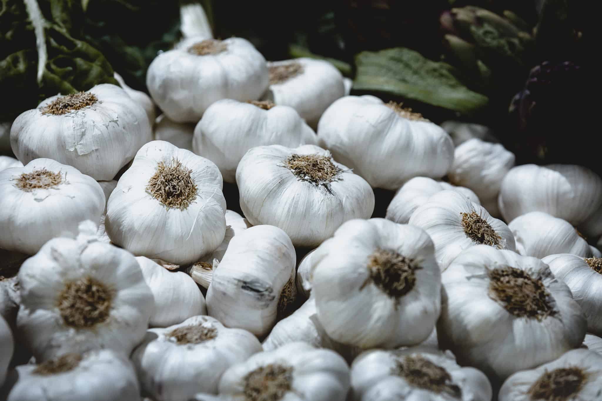 Discover 10 Smells That Roaches Absolutely Hate AZ Animals