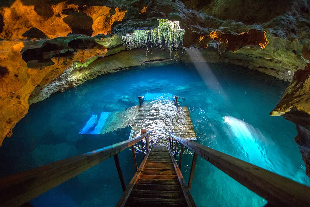 Devil's Den near Williston, Florida