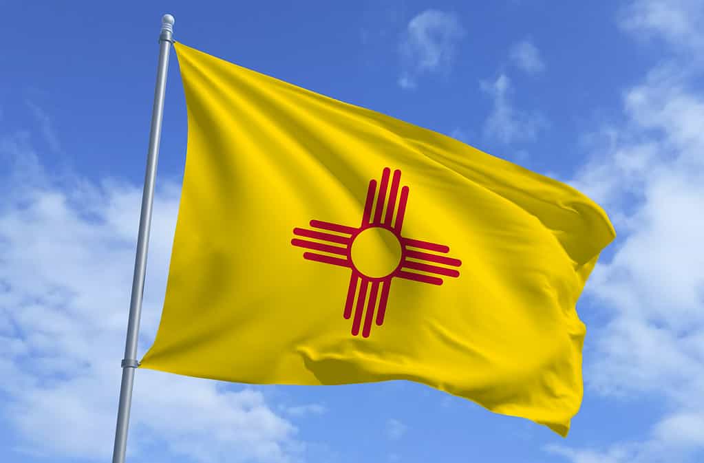 New Mexico State Flag