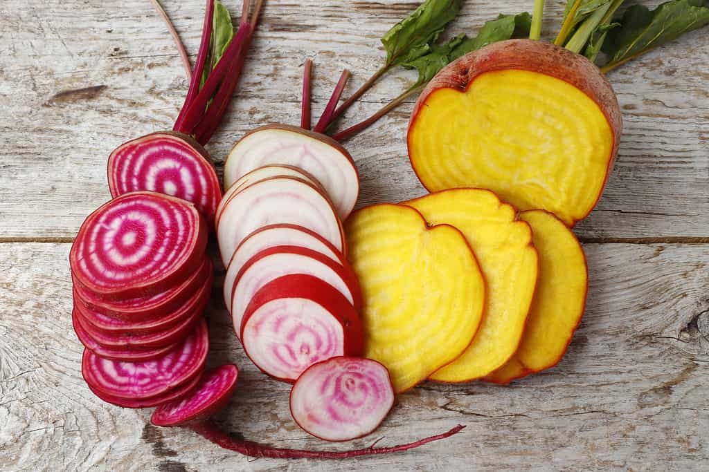 Beet, three different varieties. Cut into slices. L-R: Red and white swirl, mostly red variety, White with red swirl, mostly white variety, nd golden beet. They beet greens are in the top of the frame. 