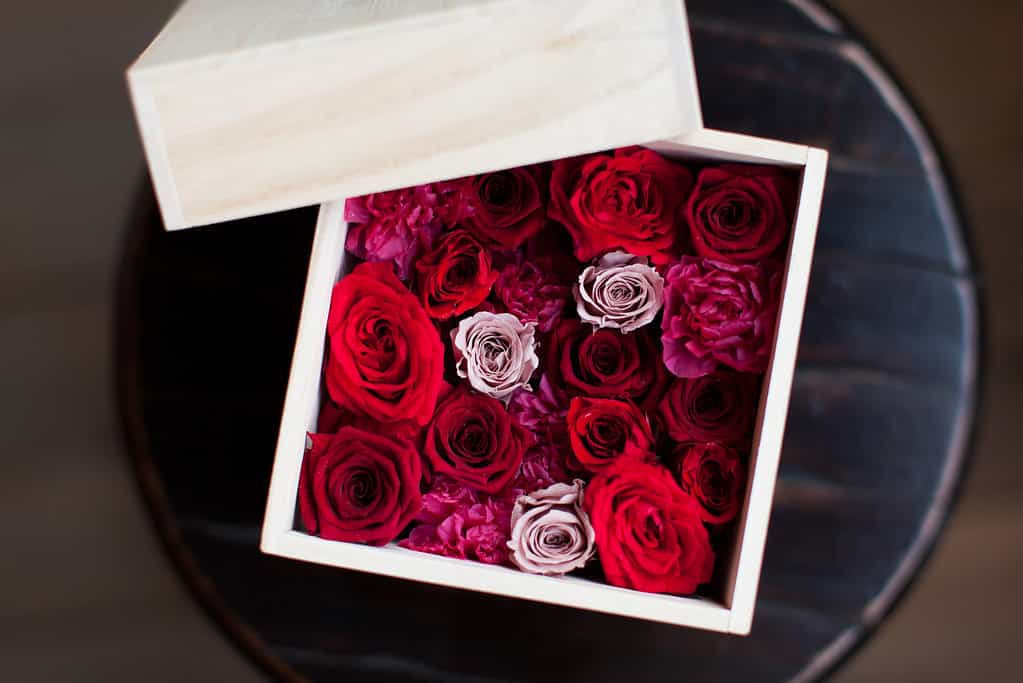 Red Preserved Flower in the Box.
