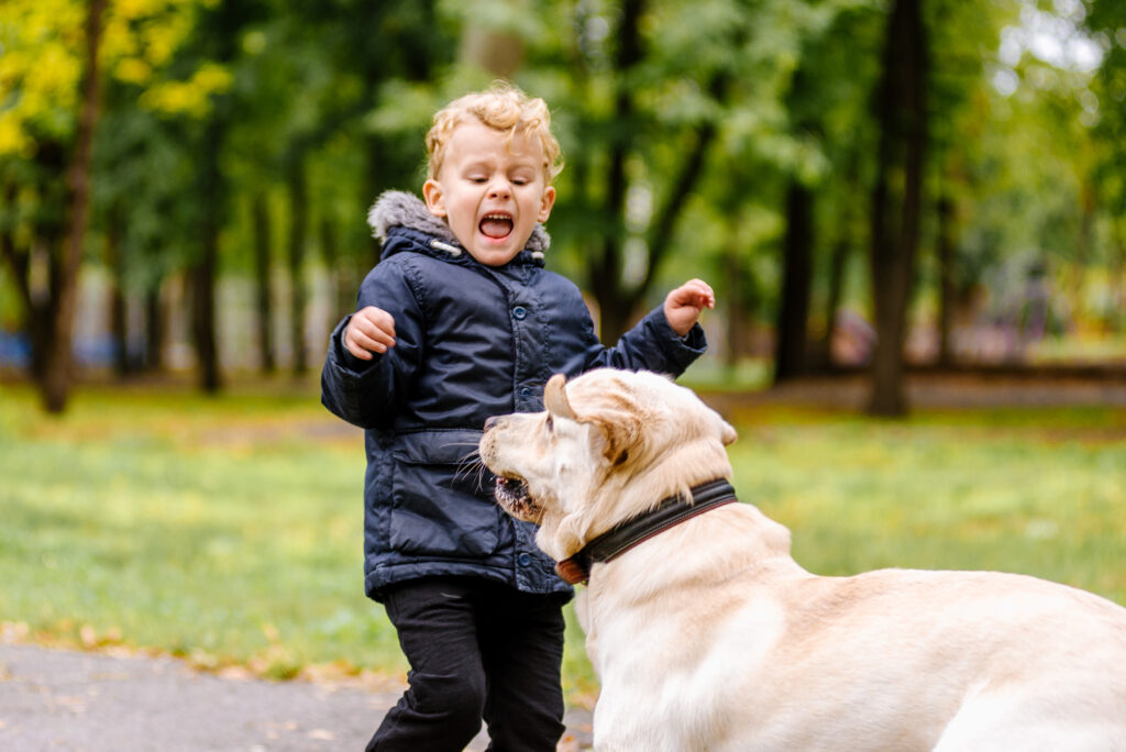 the child is afraid of the dog. Big dog scares a child in the park