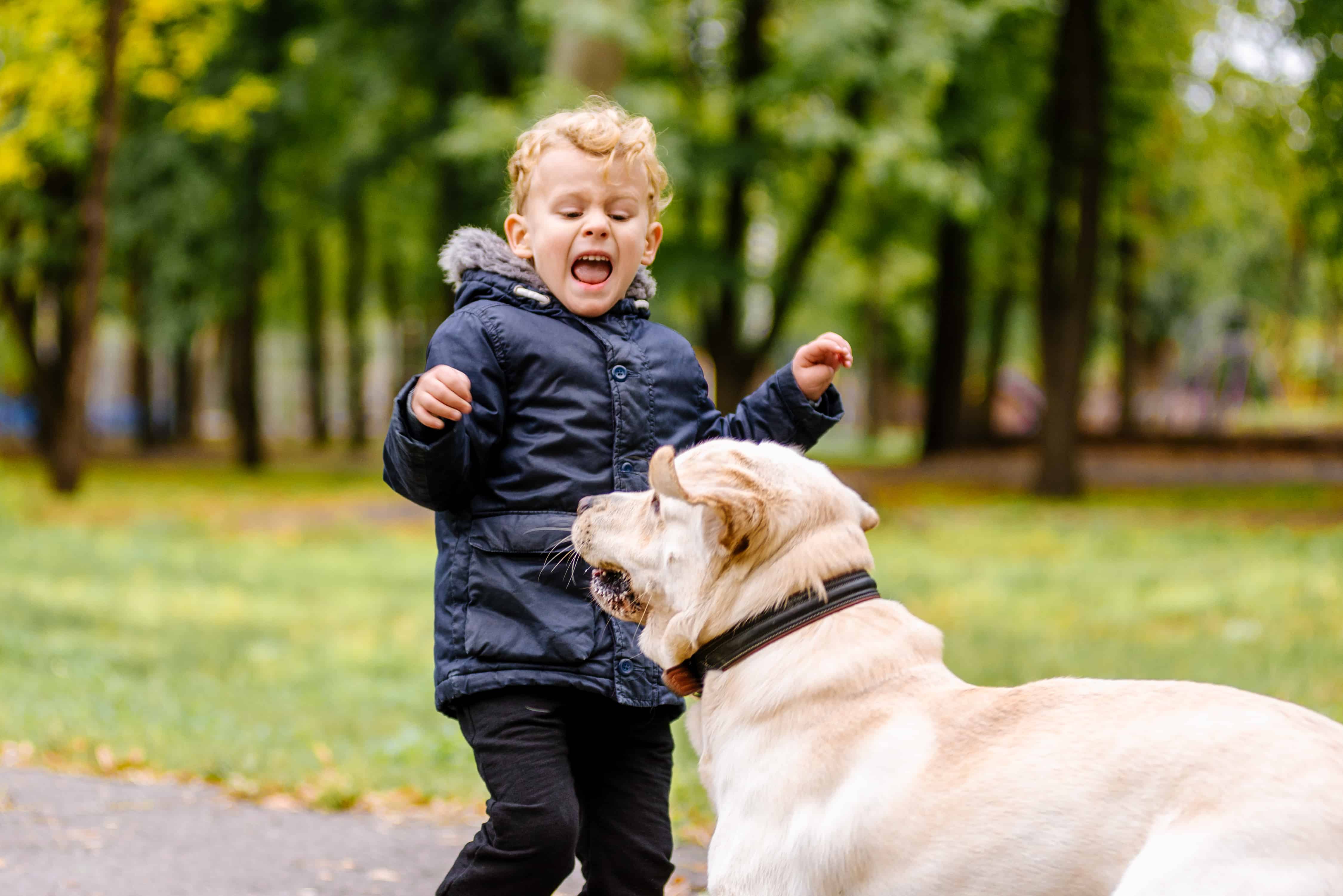 If There is One Person In the Family Your Dog Bites, This is Why