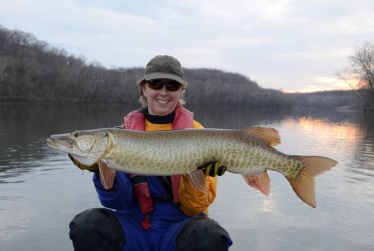 gold and green muskie fish on a river in winter at sunset on a partly cloudy day
