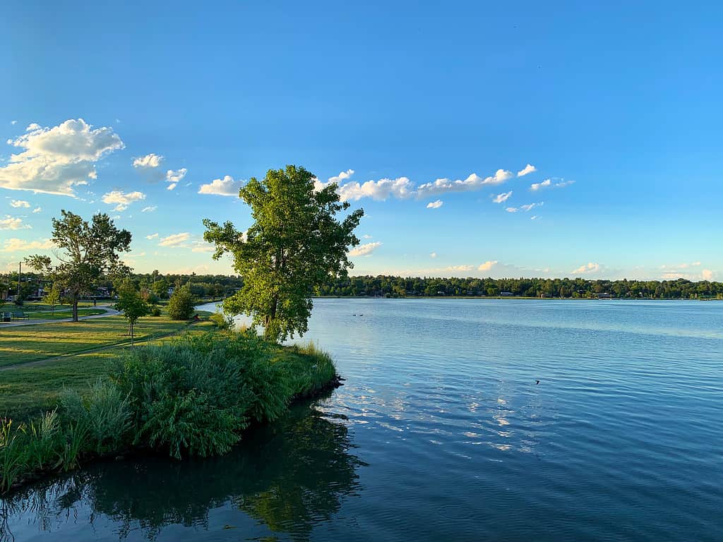 sloan lake