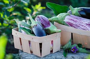 Companion Planting: Discover Which Vegetables Grow Well Together Picture