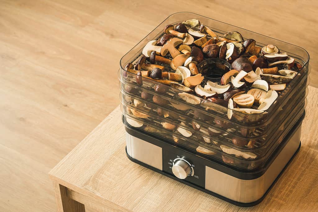 vegetables mushrooms dehydrator drying