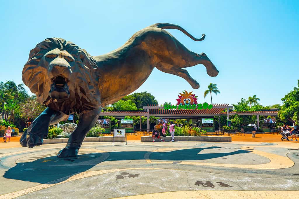 San Diego Zoo sculpture "Rex's Roar"