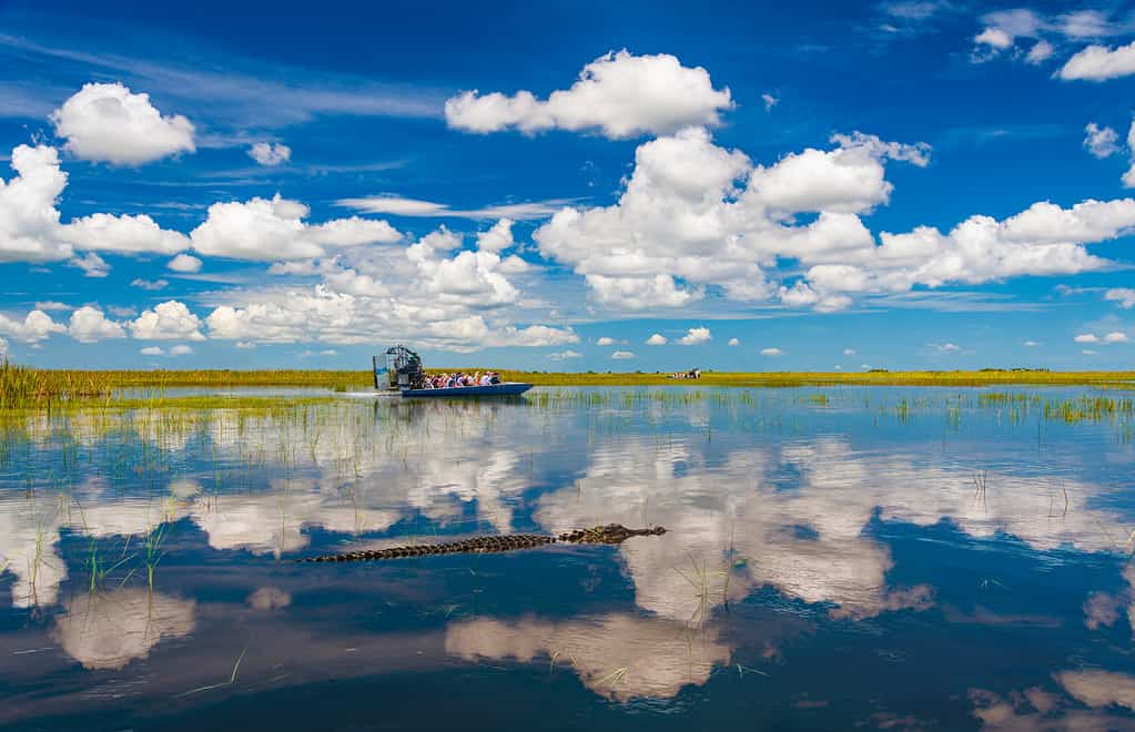 Everglades National Park Florida