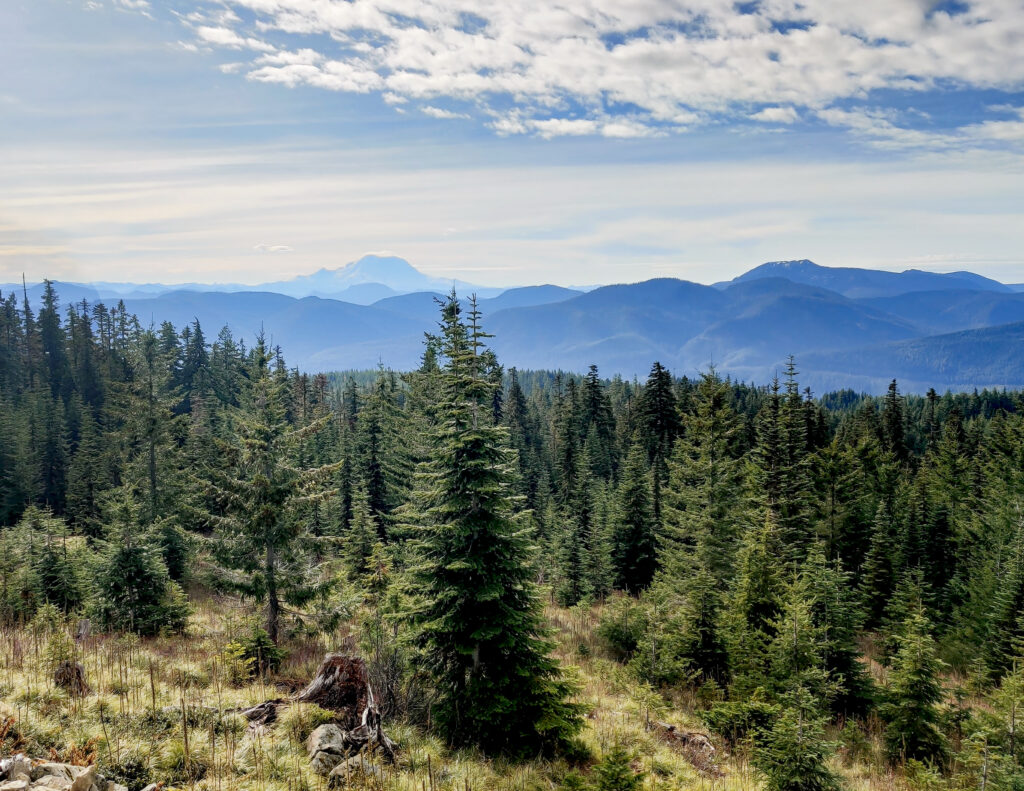 Okanogan-Wenatchee National Forest is the largest forest in Washington