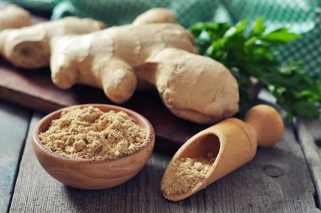 Zingiber officinale , or ginger root, and ground ginger spice on wooden background. 