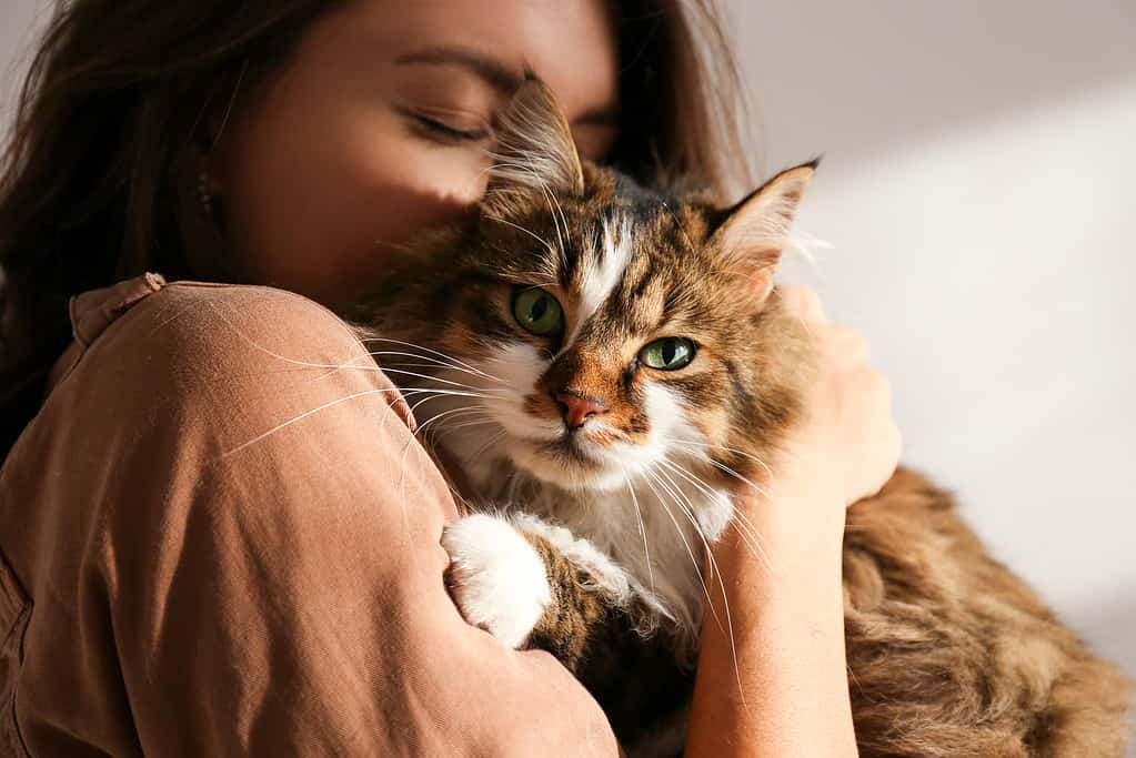 5 Fantastic Ways to Celebrate National Cat Lovers Month