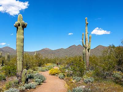 A Discover the 4 Largest City Parks in Arizona