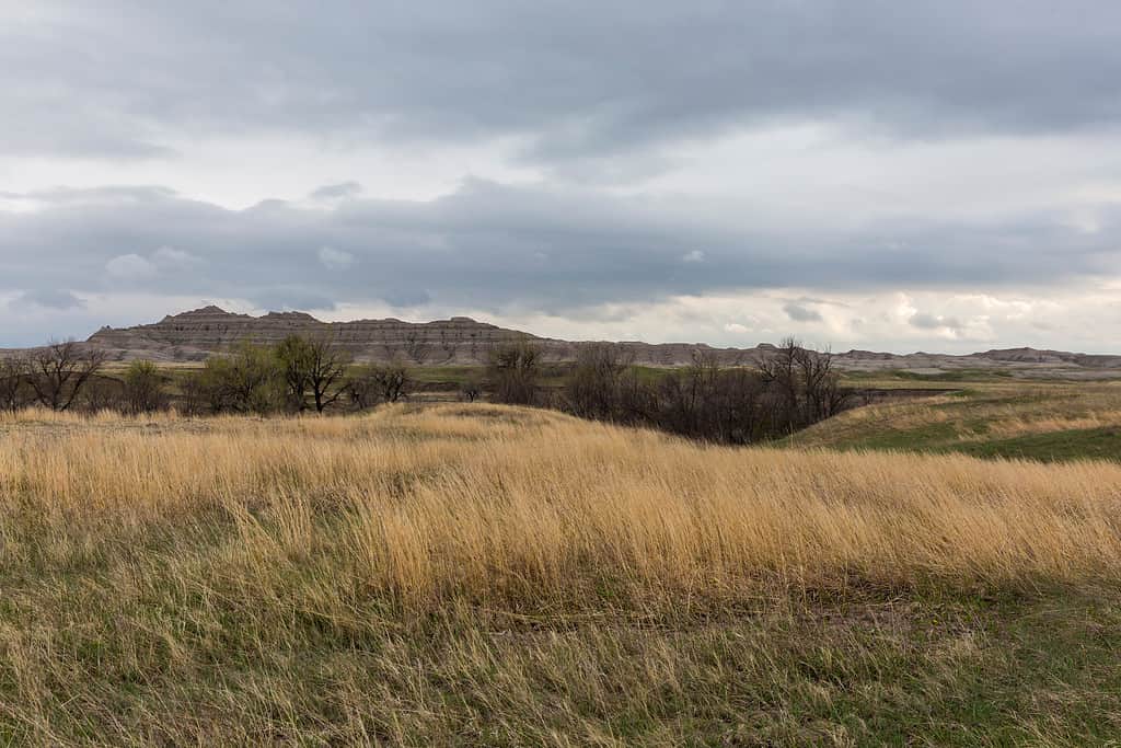 Landscape view of Badlands National Park near Sage Creek (South Dakota).