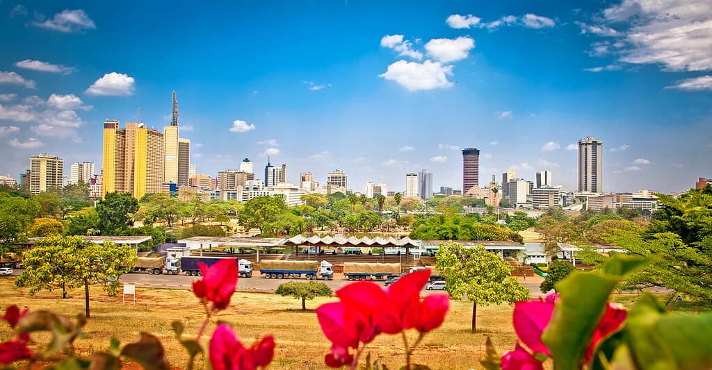 Kenya offers many beautiful sights like the orchid. which is the national flower of Kenya.