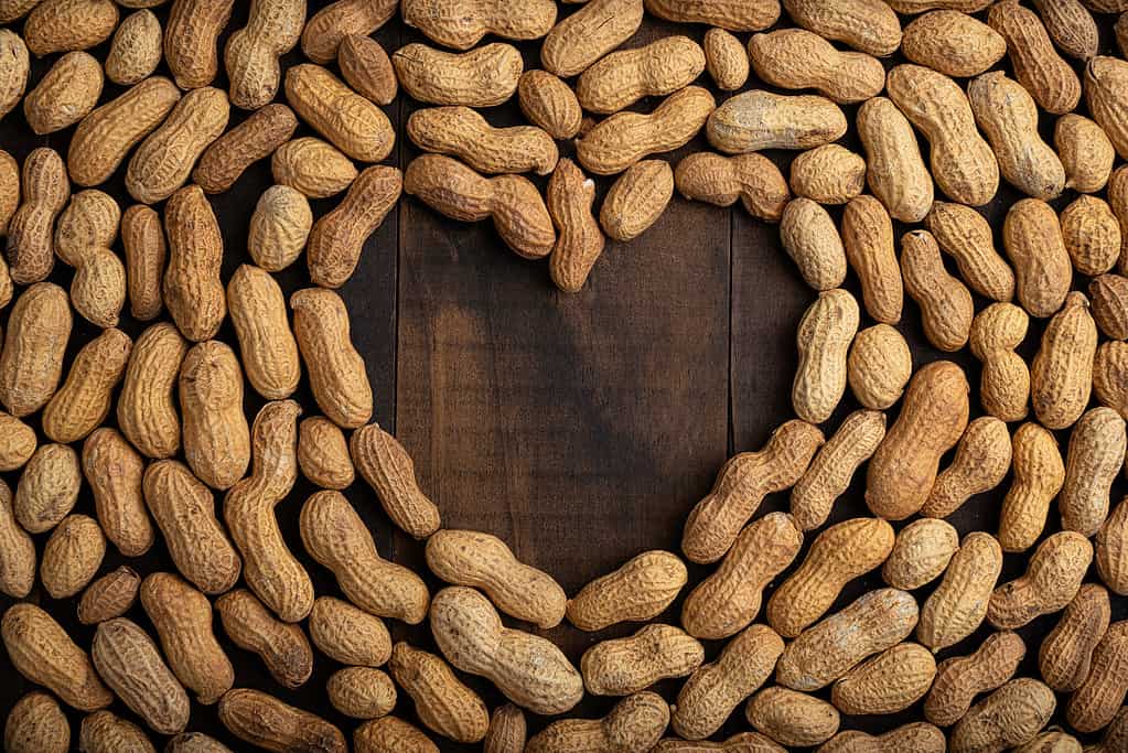 mage of heart shape frame made of peanuts on wooden background