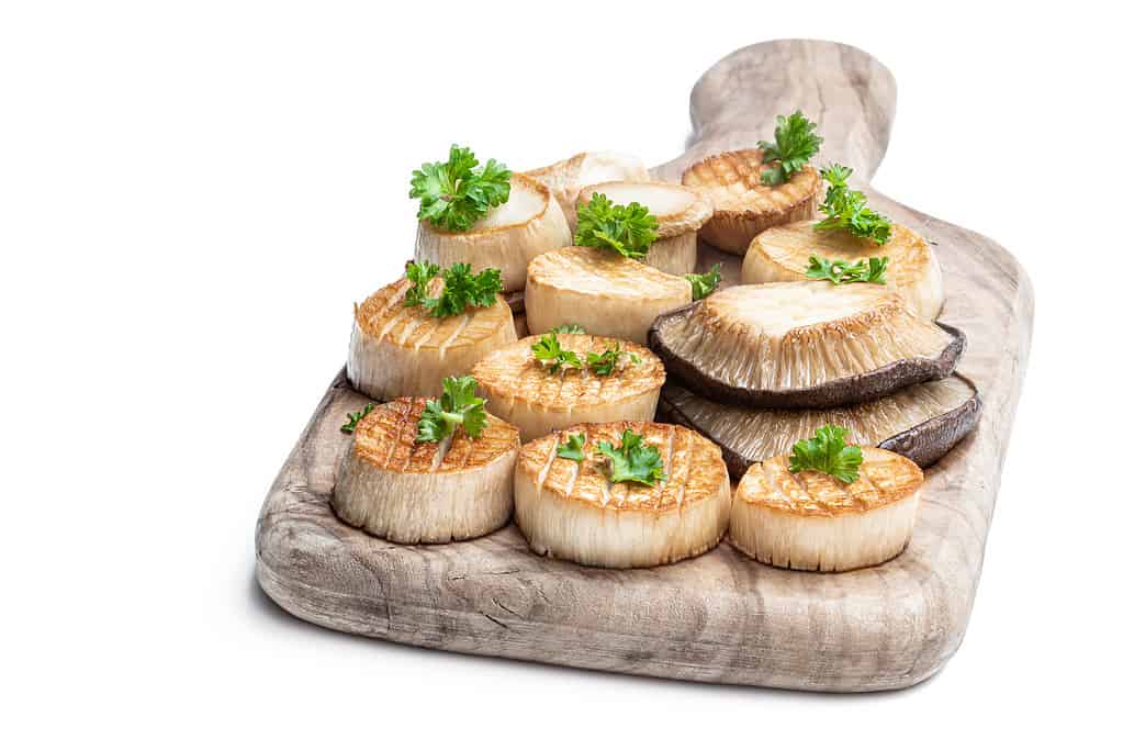 King oyster mushroom scallops