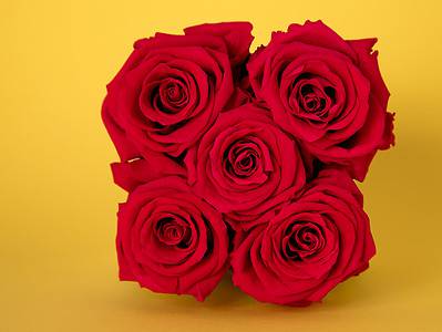A Red Roses: Meaning, Symbolism, and Proper Occasions