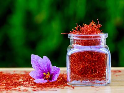 A How to Grow Saffron: Your Complete Guide