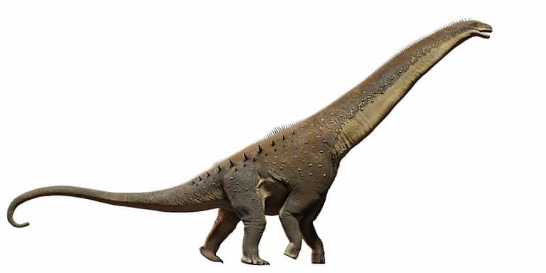 Titanosaurus dinosaur
