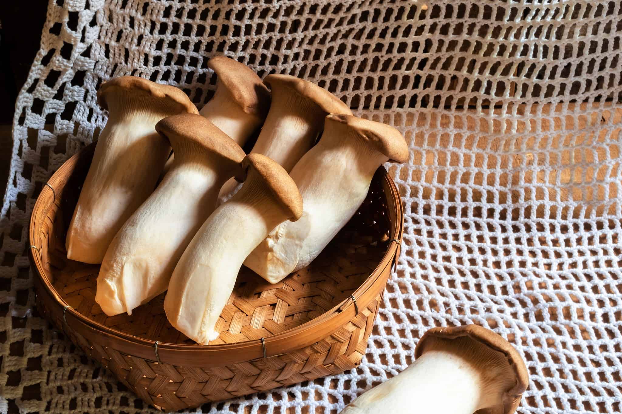 How to Grow King Oyster Mushrooms AZ Animals