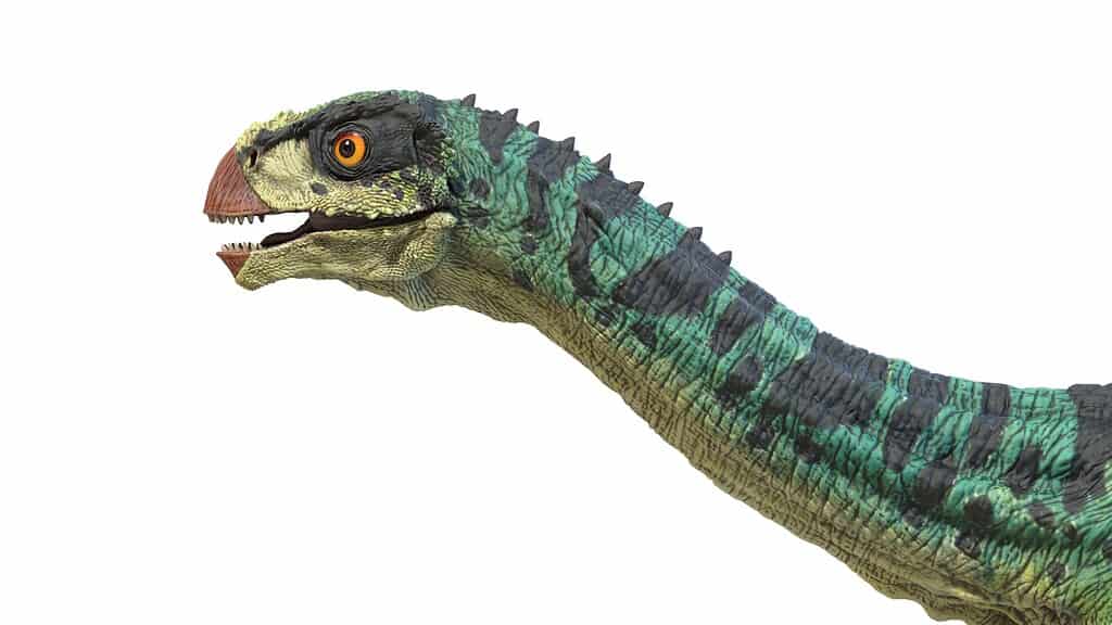 Paleontologists classify Chilesaurus as a herbivore