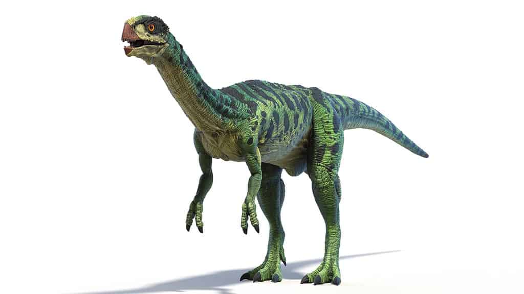 Chilesaurus diegosauezi dinosaur walked on two legs