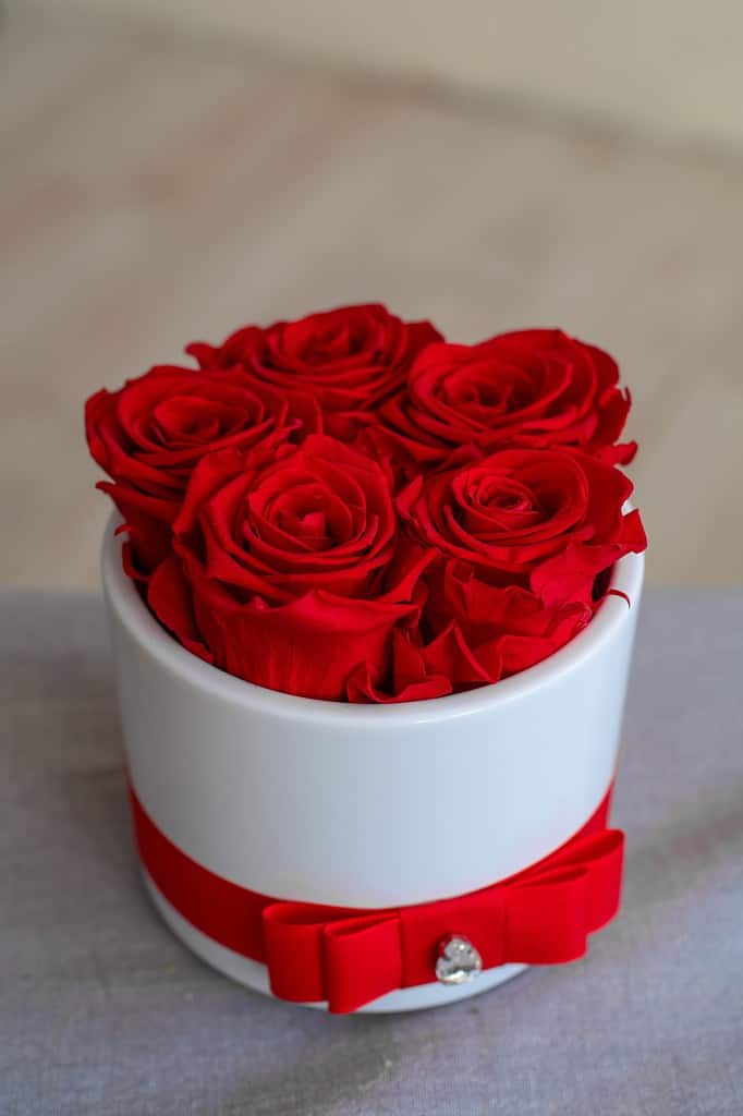 Top view of red long-lasting preserved roses in a white acrylic flower box with a red bow. 