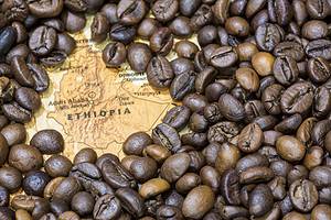 Discover the 10 Countries That Produce the Most Coffee in the World Picture