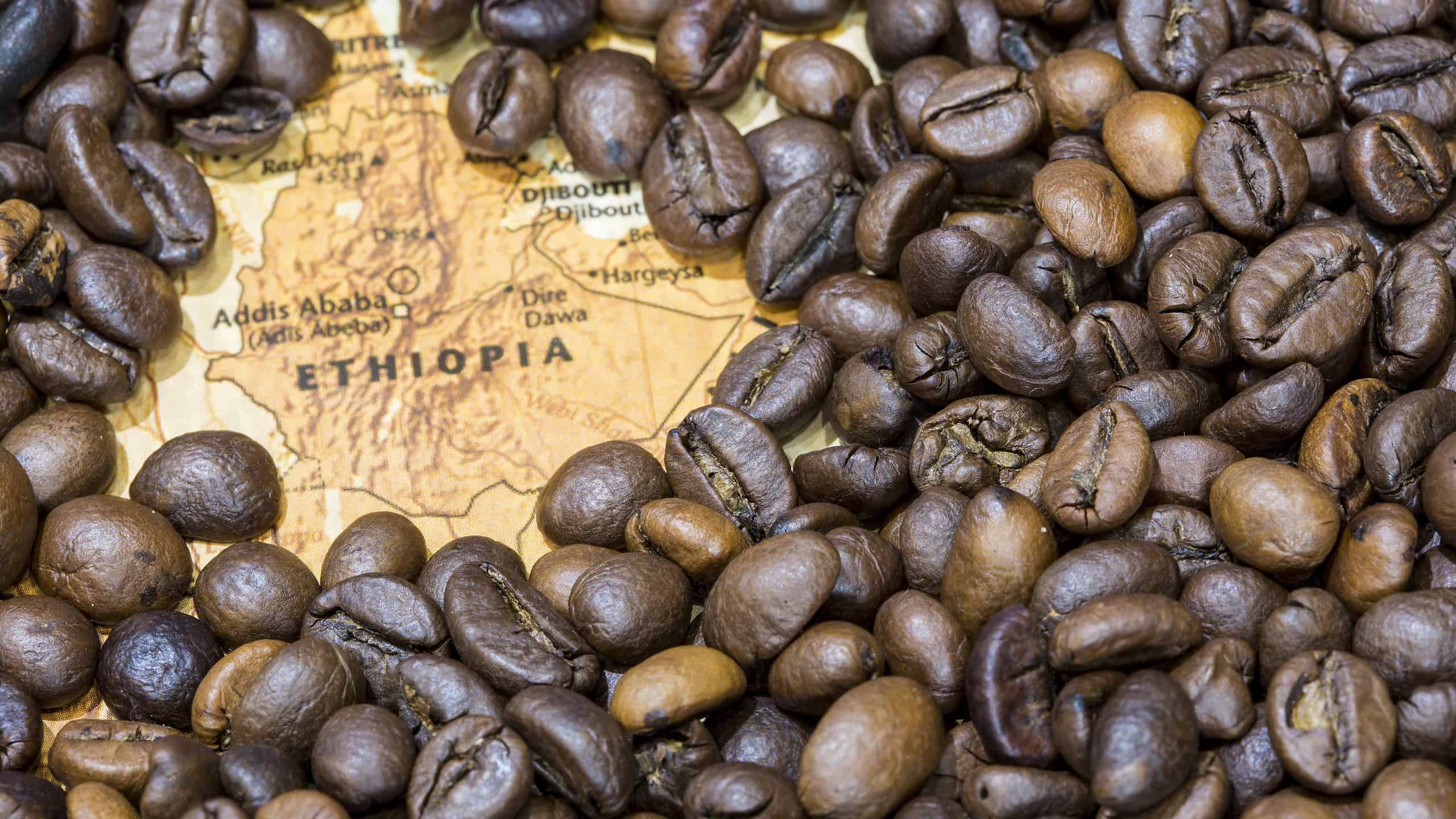 Jimma is one of the top producers of coffee in Ethiopia
