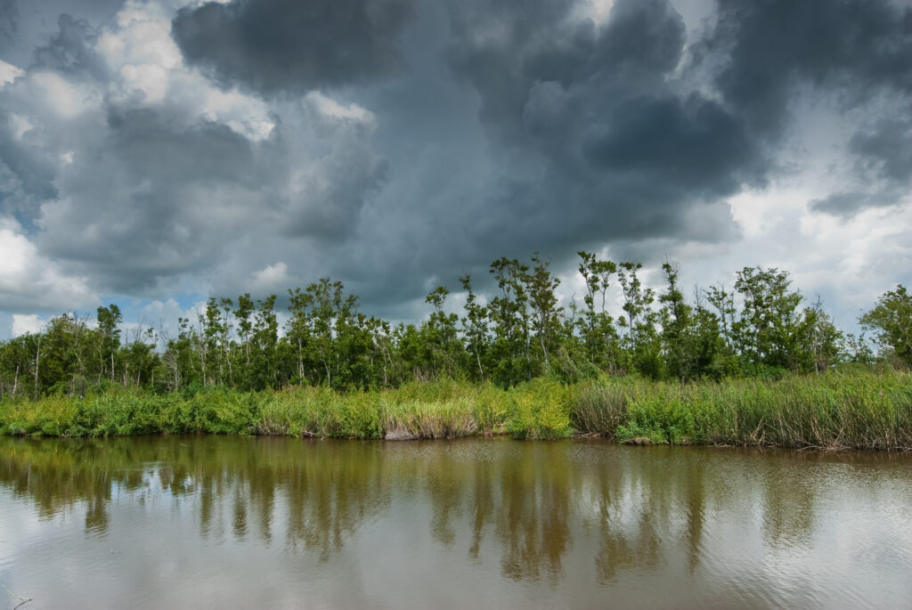 thunderstorm clouds approaching in louisiana swamps, usa