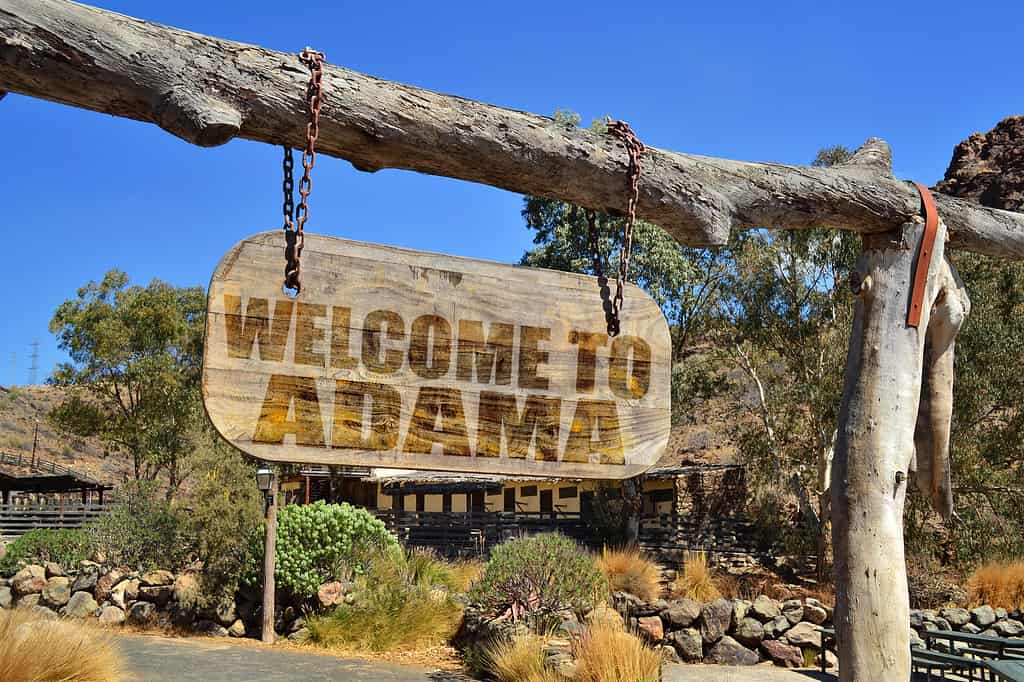 Adama offers unique places to explore like nearby Awash National Park