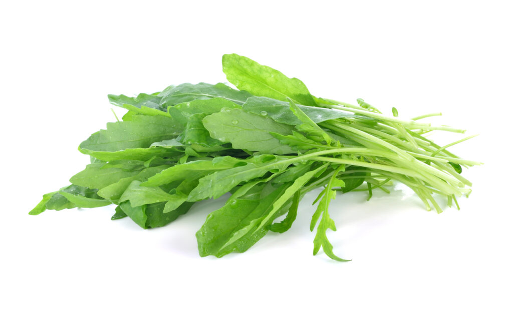 Wild Rocket in a heap isolated on a white background