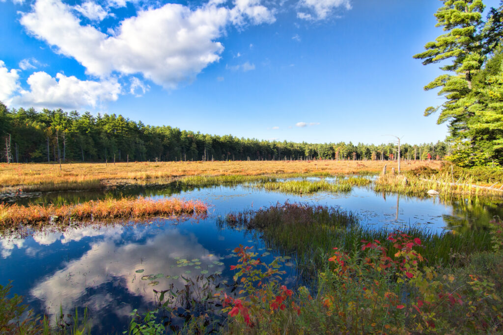 Pawtuckaway Pond with cloud reflections and autumn colors