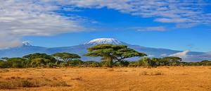 Discover the 10 Largest Cities in Tanzania Picture