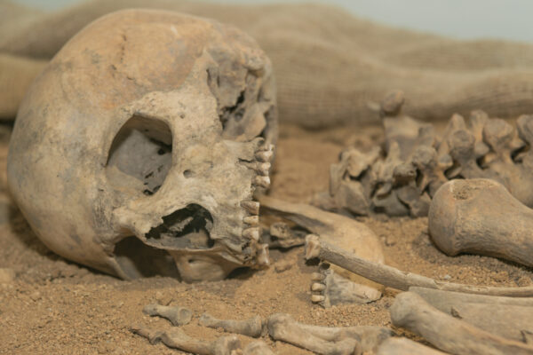 Human remains have been found many places throughout the world.