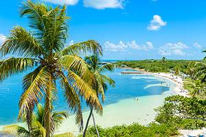 Bahia Honda State Park: Ideal Visiting Time, Cost, and Best Activities Picture