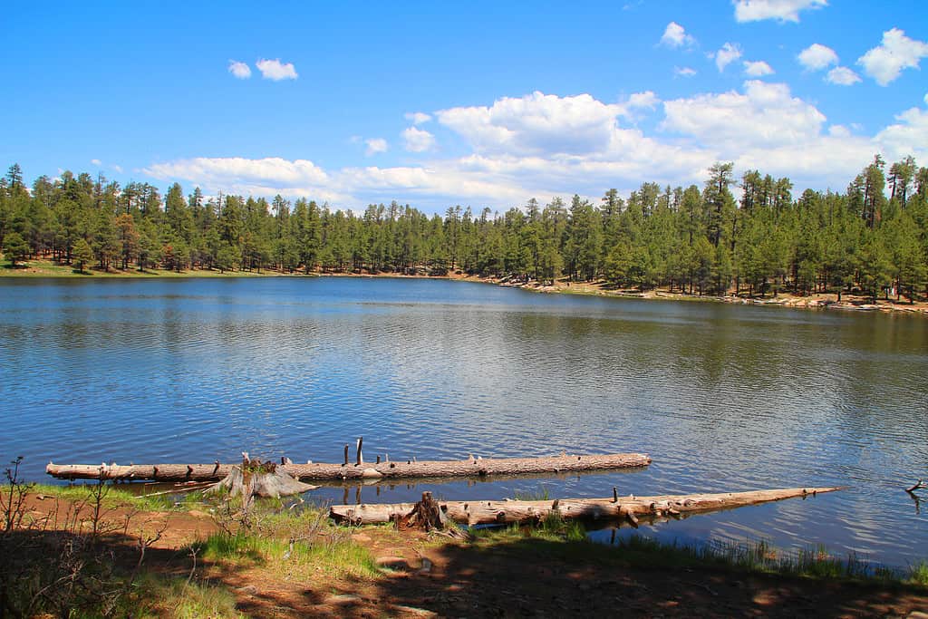 Woods Canyon Lake, Willow Springs Lake, Apache National Forest, Arizona